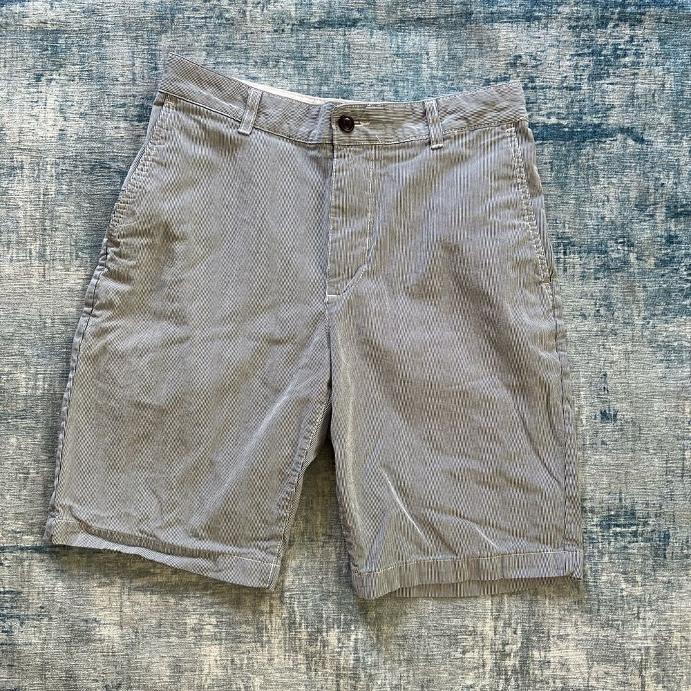 Mens Dockers Blue and White Pinstripe Flat Front Shorts Size 30